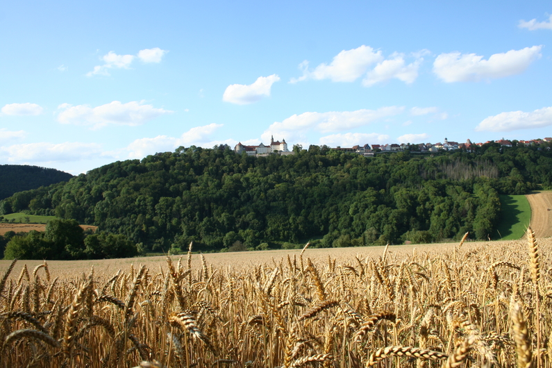 Blick auf Langenburg